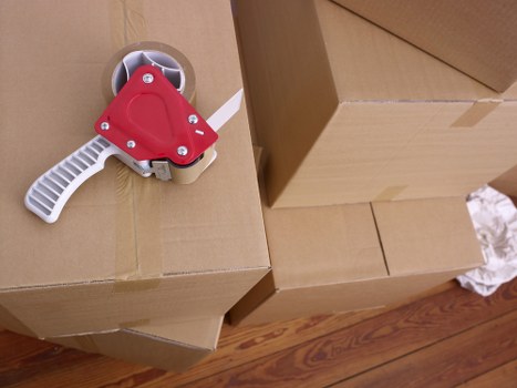 Seasonal and household items neatly arranged in storage